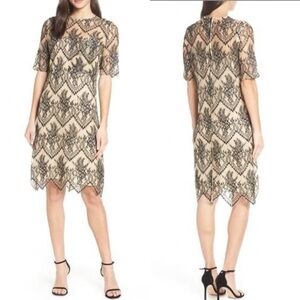 NWT CAARA Scalloped‎ Lace Shift Dress Black Tan S